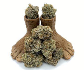 Holiday Sale July 1st-3rd