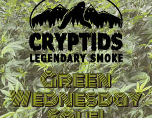 Green Wednesday Sale!