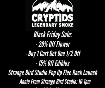 Black Friday Sale