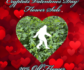 Valentines Day Sale – 20% Off Flower – 2/11-2/17