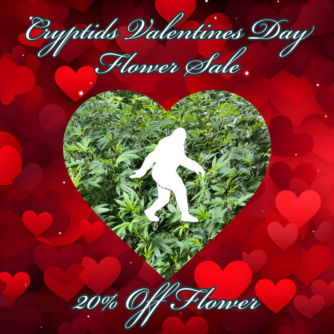 Valentines Day Sale – 20% Off Flower – 2/11-2/17