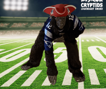 Super Bowl Week Sale!