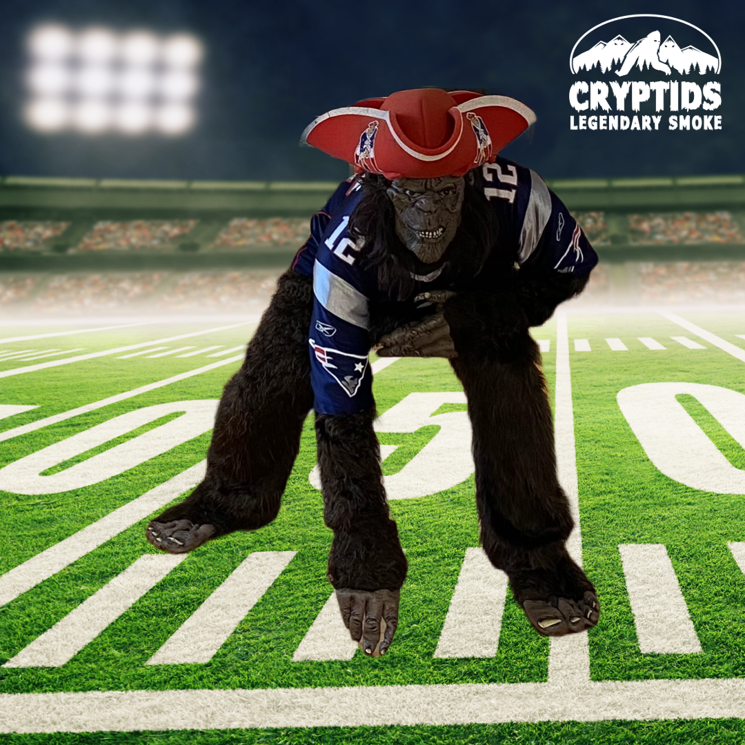 Super Bowl Week Sale!